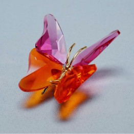 Abala - Rose - Middel